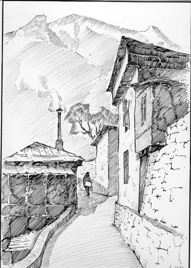 24